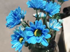 -九月里.自由花园餐厅