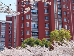 -高东镇樱花园