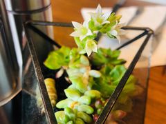 -嘉年华大酒店琴湾-自助餐厅