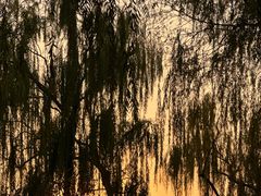 -中央广播电视塔