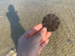 -北海金海湾红树林生态旅游区