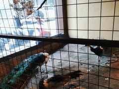 -老阿爸江浙土菜(前进东路店)