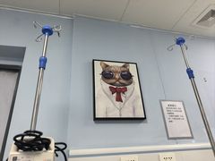 -纳吉亚猫专科动物诊疗中心(蒋宅口分院)