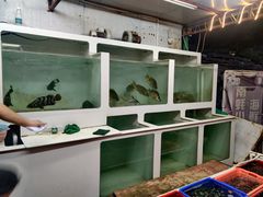 水产区-南蚝小贝海鲜特色餐厅(南澳岛店)