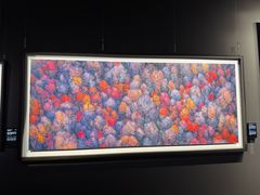 -罗红摄影艺术馆