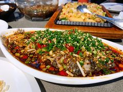 折耳根拌鲫鱼-铜小馆(1891时光道店)