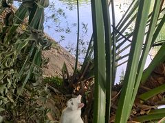 -荔湾湖公园