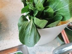 -润园四季椰子鸡火锅(海上世界店)
