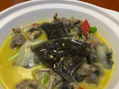 -河洲甲鱼(锦都店)