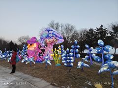 -沈阳奥体冰雪嘉年华