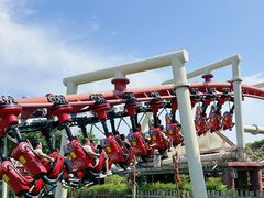 -郑州方特梦幻王国