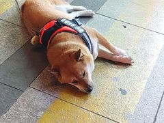 -伊势丹(现代城店)