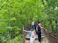 -王顺山国家森林公园