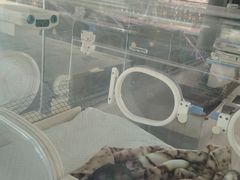 -宁波野生动物园