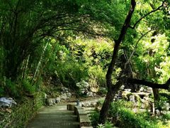 -塔川景区