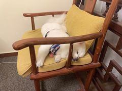 -伽利略剧本探案馆(国贸店)