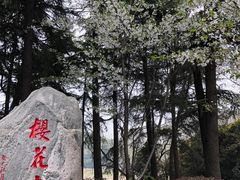 -武汉大学-樱园