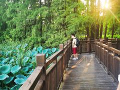 -东湖落雁景区