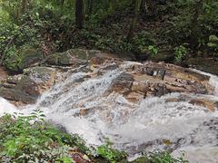 -莫里热带雨林景区