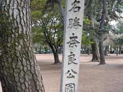 -奈良公园