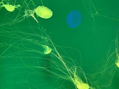 -沈阳海洋探索中心