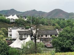 -帐篷客·溪龙茶谷度假酒店