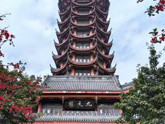-塔子山公园