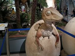 -湖南省地质博物馆