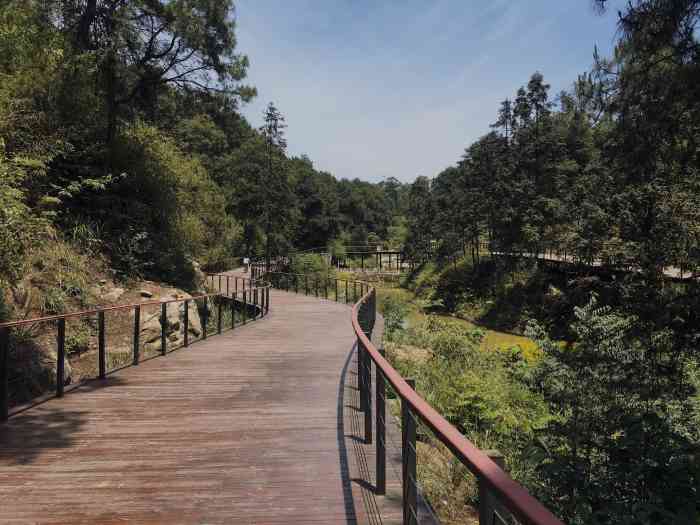 玉峰山森林公园