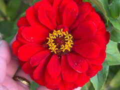 -长春公园(普阳街道)