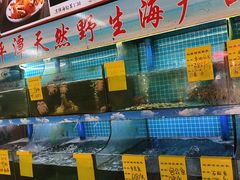 -坛南湾阿强农家乐.海鲜大排档老字号(福州地标美食店)