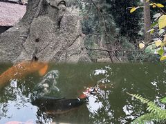 -成都杜甫草堂博物馆