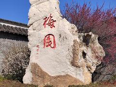 -梅园