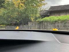 -腾冲国萍农家乐