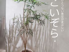 -二酉书店TOYOU BOOKS