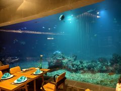 -海棠湾洲际-涛·海底餐厅·美人鱼·自助餐·海底隧道