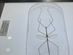 -上海昆虫博物馆