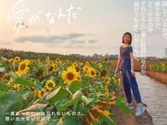 -十四涌水产中心