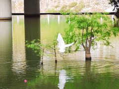 -人民公园(罗湖区)