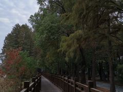 -东湖落雁景区