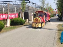 -菊园百果园