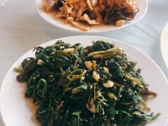 野菜炒肉-中原农家乐(中原饭店)