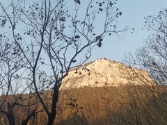-佛慧山