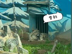 -青藏高原野生动物园