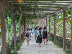 -大余丫山旅游度假区