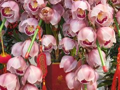 -双季花艺园艺市场(浦东店)