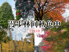 -艾溪湖湿地公园