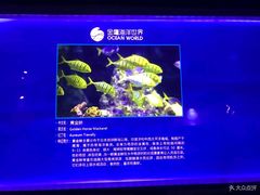 -常州海昌海洋探索馆