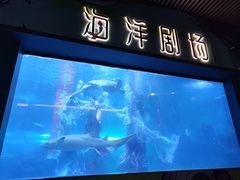 -洛阳龙门海洋馆
