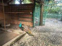 -漓咖啡西餐厅 · 桂林香格里拉